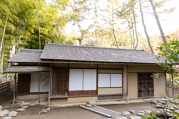 その他のみどころ：蓮華院