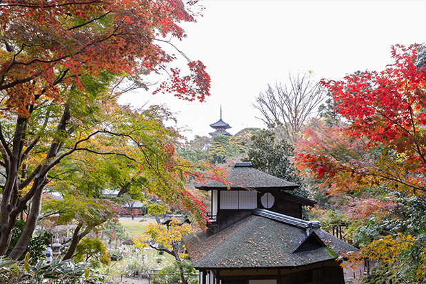 その他のみどころ：旧燈明寺三重塔