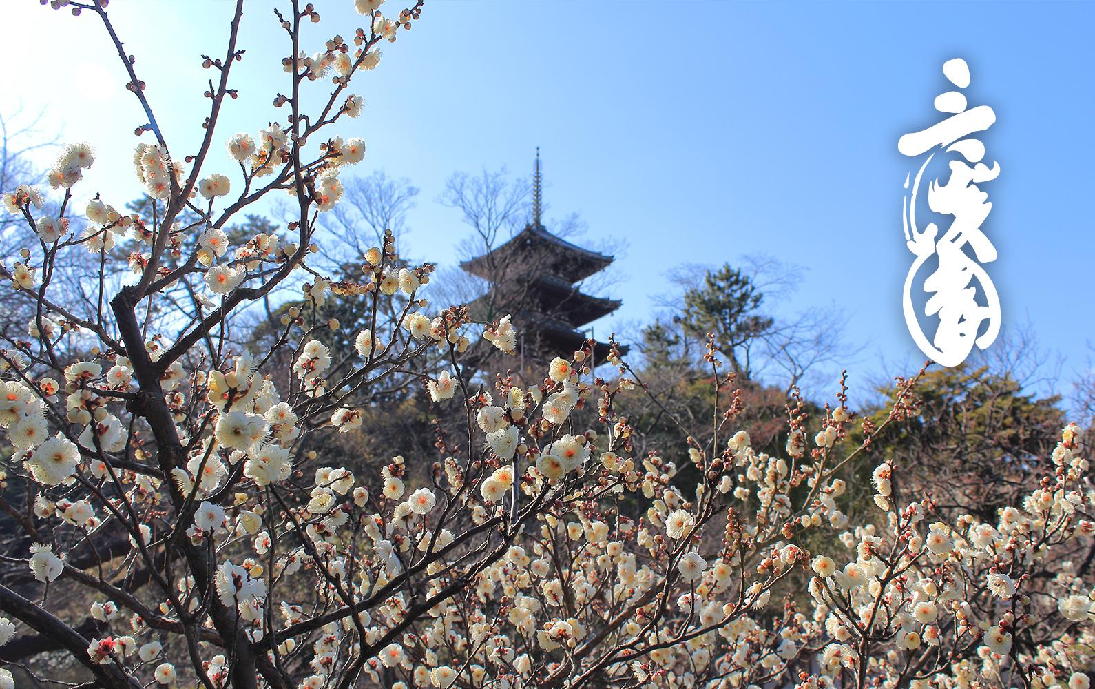 三溪園の写真