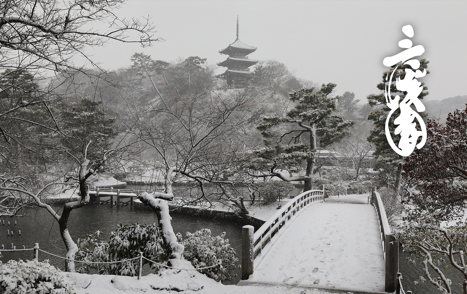 三溪園の写真